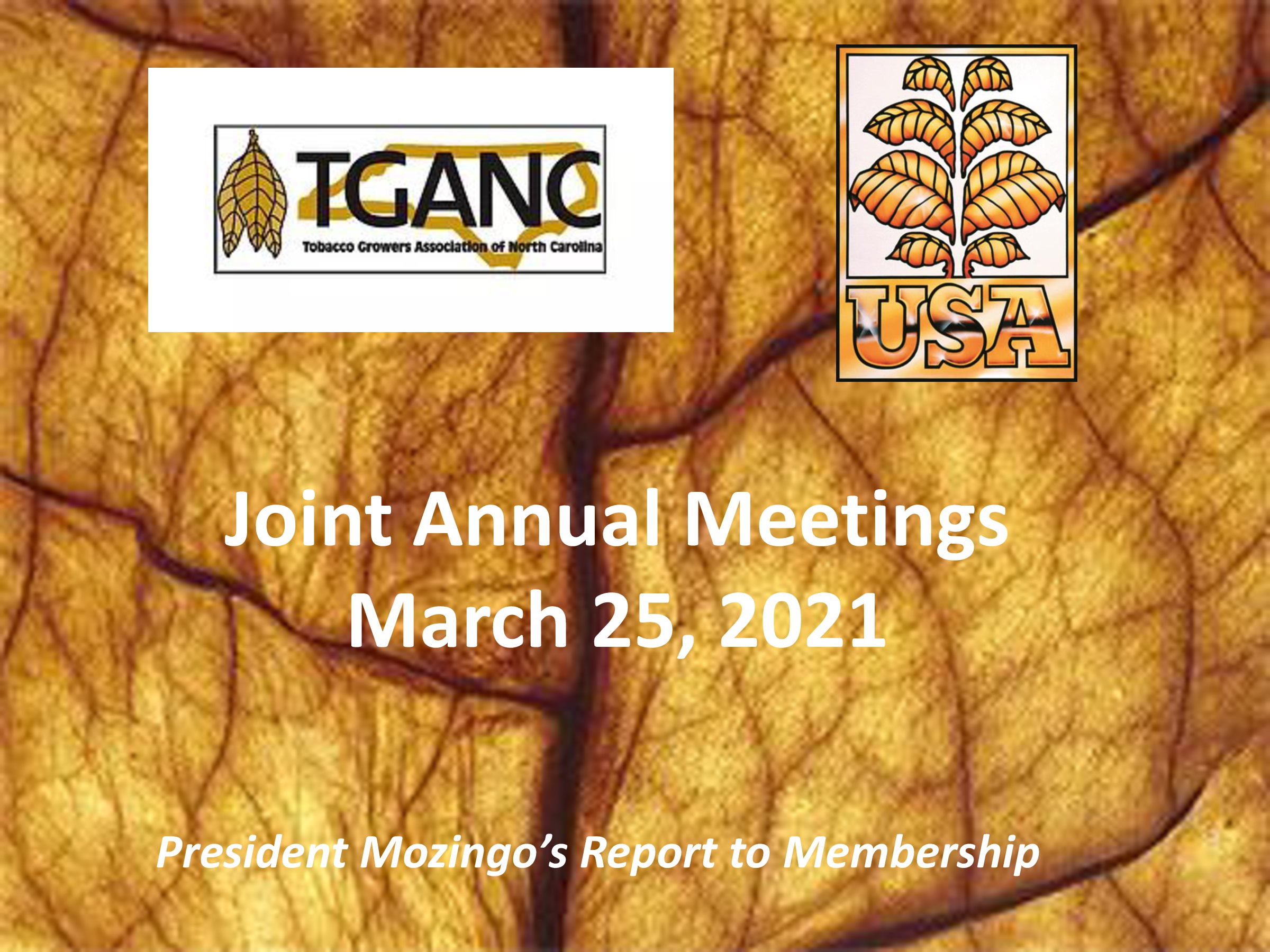 74th Annual Meeting President's Report